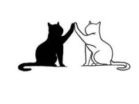 ☀ Sát thủ ngại xã giao và gã hàng xóm trăng&nbsp;hoa