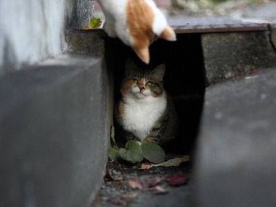 ☀ 1m97 và&nbsp;1m73