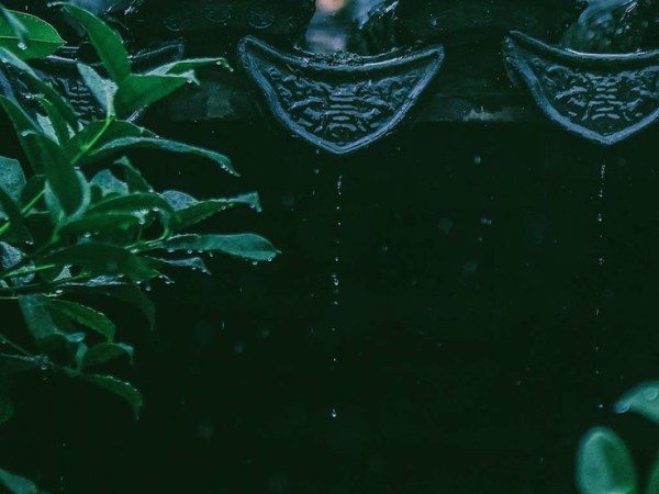 Chương 9a – Mây và&nbsp;bùn